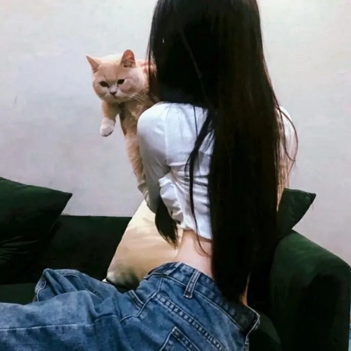爱在零纬度